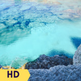 HD Nature Video Wallpaper5.0_rowtechapk.com