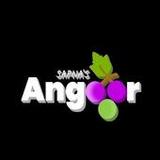 Angoor1.3_rowtechapk.com