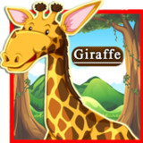 100 Animals and Birds for kids8_rowtechapk.com