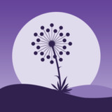 Dandelion: Antistress, Calm8_rowtechapk.com