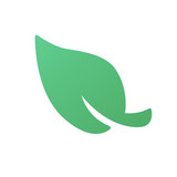 Leaf VPN1.10_rowtechapk.com