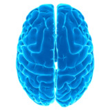 Logical test - IQ11.17_rowtechapk.com