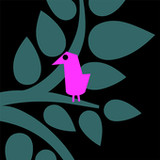 Words for a bird2.6_rowtechapk.com