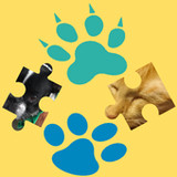 Puzzle Pet1.0_rowtechapk.com