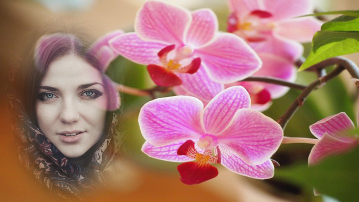 orchid photo frames costume montage editor screenshot image 6_Popularmodapk.com