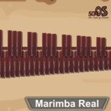 Marimba, Xylophone, Vibraphone2.4.1_rowtechapk.com