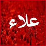 صور اسم علاء2_rowtechapk.com