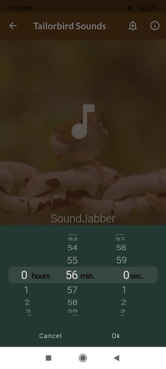 Tailorbird Sounds screenshot image 4_Popularmodapk.com