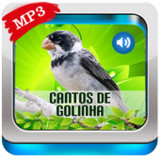 Cantos De Golinha3.2.4_rowtechapk.com