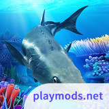 The Cobia<span>(No Ads)</span>1.0.7_rowtechapk.com