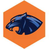 Panthera Crypto Wallet9.4_rowtechapk.com