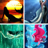Mermaid Wallpaper: HD images, Free Pics download2.0.42_rowtechapk.com
