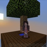 Minecraft<span>(Lazy Skyblock)</span>阿夜整合_rowtechapk.com