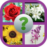 Tebak Gambar Bunga8.3.4z_rowtechapk.com