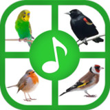 Birds Sounds And Ringtones1.2_rowtechapk.com