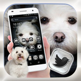 Cute Puppy Launcher Theme3.6_rowtechapk.com