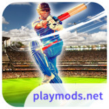 Cricket 2024<span>(No Ads)</span>13.0_rowtechapk.com