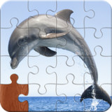 Sea Animals Jigsaw Puzzle5.1_rowtechapk.com