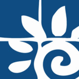 Domo1.3.1_rowtechapk.com