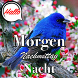 German Morning & Night Wishes9.10.10.4_rowtechapk.com