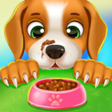 My pet Labrador dog care guide21.0_rowtechapk.com