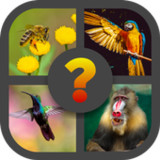 Guess The Animals8.3.4z_rowtechapk.com