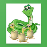 Montessori Zoology Memory1.0.29_rowtechapk.com