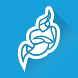 Jitsi Meet22.1.1_rowtechapk.com