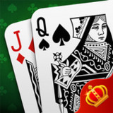 Pinochle1.3.1025_rowtechapk.com
