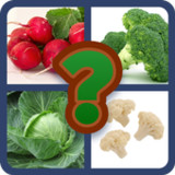 Descopera Cuvantul10.6.1_rowtechapk.com