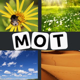 4 Images 1 Mot 202310_rowtechapk.com