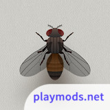 CAT ALONE - Cat Toy<span>(No Ads)</span>6.0.2_rowtechapk.com