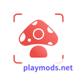 Picture Mushroom - Mushroom ID<span>(Premium Unlocked)</span>2.9.23_rowtechapk.com