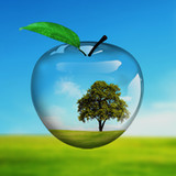 PiP camera collage maker1.4.7.3_rowtechapk.com