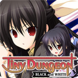 Tiny Dungeon ～BLACK and WHITE～2.08.1011_rowtechapk.com