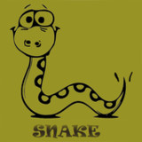 Nokia Snake V1.1_rowtechapk.com