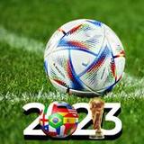 Football World Soccer Cup 20233.9_rowtechapk.com