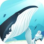 HELLO WHALE : IDLE AQUARIUM(You don't have to watch ads to get rewards)1.39_rowtechapk.com