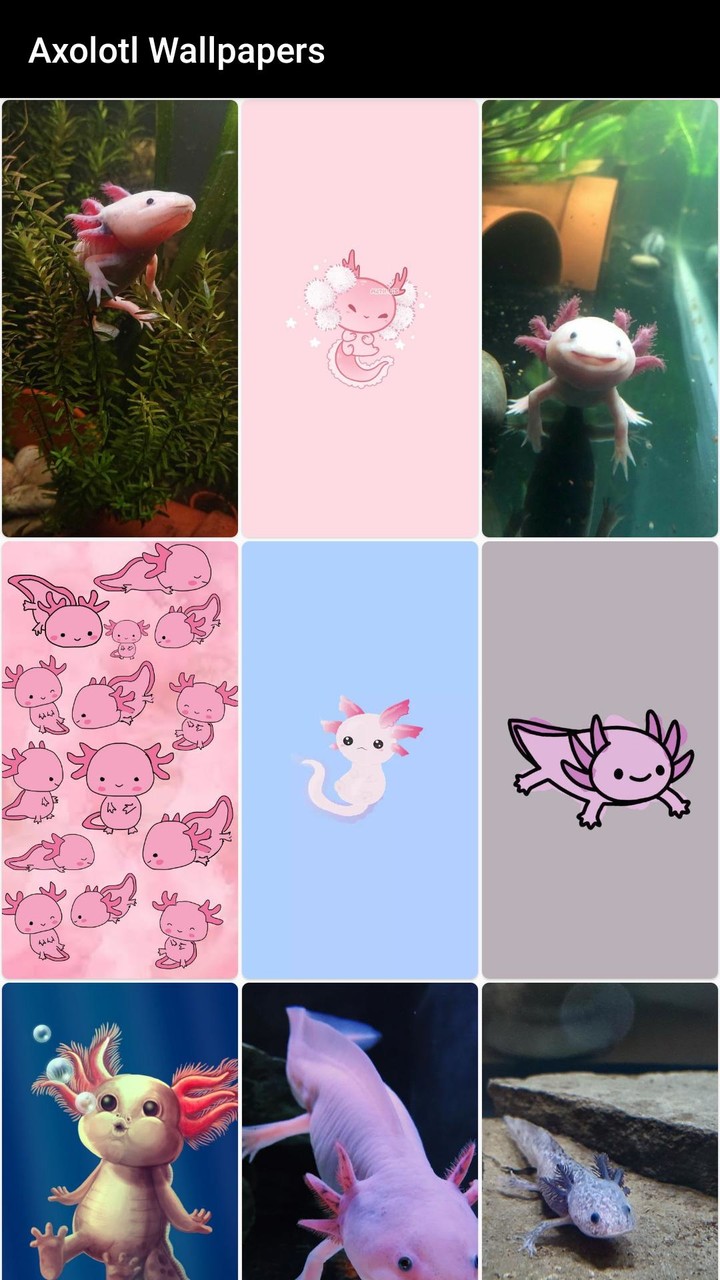 Axolotl Wallpaper Cute HD & 4K screenshot image 4_Popularmodapk.com