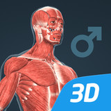 Human body (male) educational VR 3D1.27_rowtechapk.com