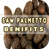 Saw Palmetto Benefits11_rowtechapk.com