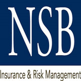 NSB Insurance Online2021.4.0_rowtechapk.com