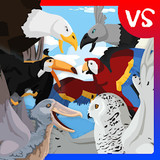 Birds Fights Birds<span>(Unlock all birds)</span>1_rowtechapk.com