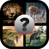 Guess the word 4pic 1 word10.5.0z_rowtechapk.com