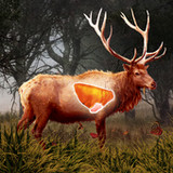 Deer Target Hunting - Pro1.3_rowtechapk.com