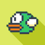 Birdy-Birdy1.2_rowtechapk.com