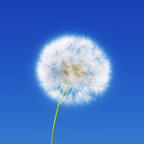 Who Does This Belong To?1.4_rowtechapk.com