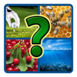 4 картинки 1 слово2.230819-30_rowtechapk.com