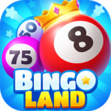 Bingo Land-Classic Game Online1.3.6_rowtechapk.com