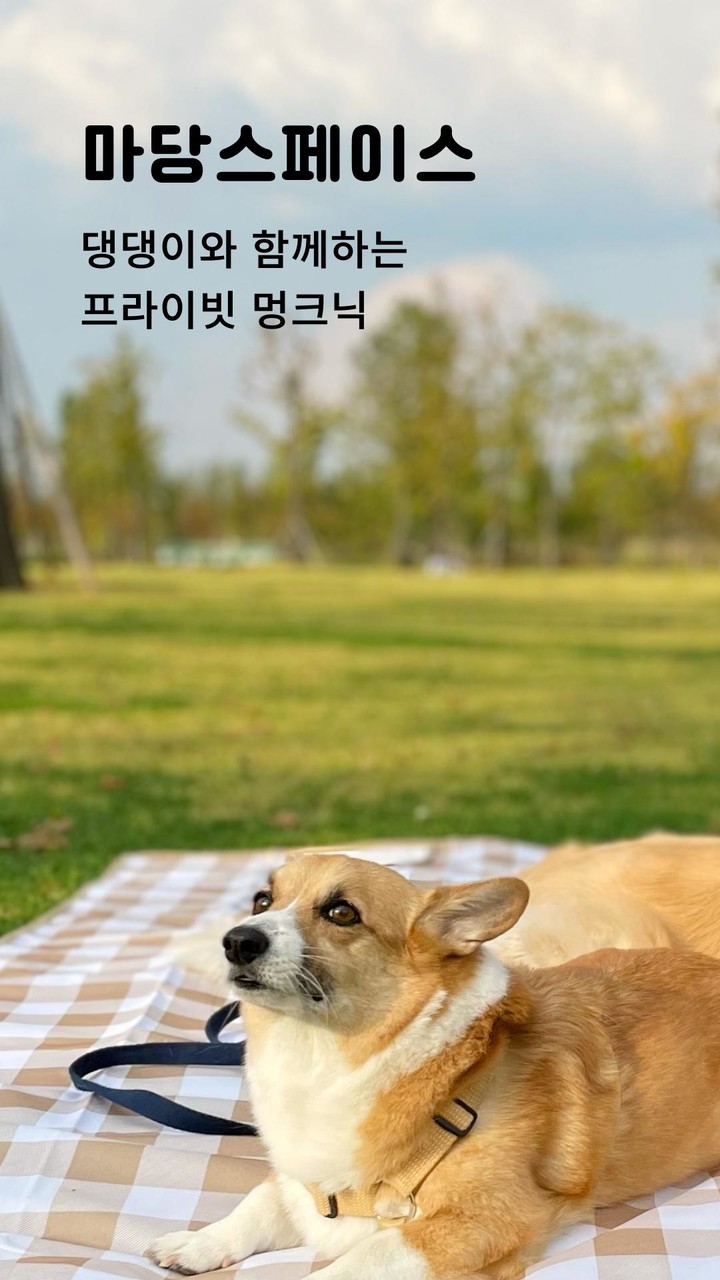 마당스페이스 screenshot image 7_Popularmodapk.com